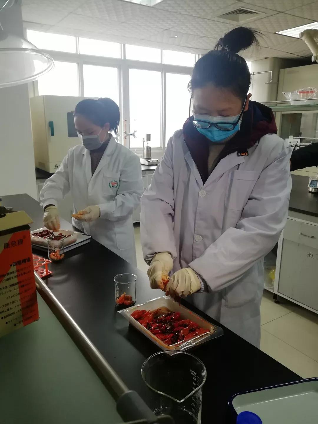 检验虾子.jpg 检验虾子.jpg