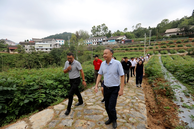 参观重点攻坚村结对帮扶企业五峰赤城生物在长乐坪村的五倍子产业基地.jpg