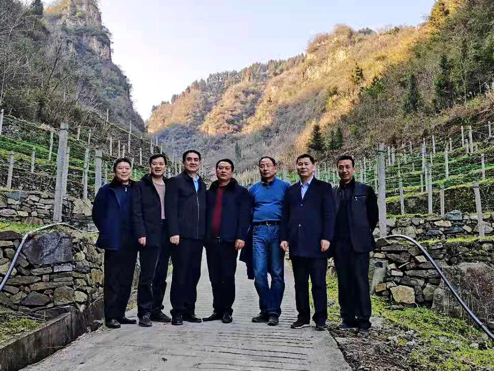 图片5.jpg