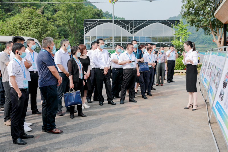 11121205821.jpg 11121205821.jpg