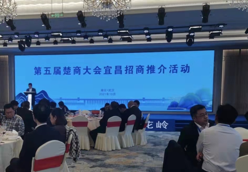 377087872.jpg 377087872.jpg